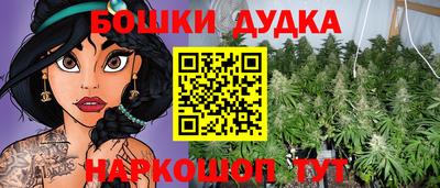 мдпв Краснознаменск