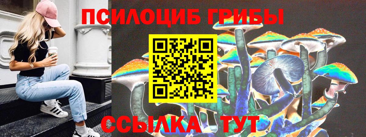 Псилоцибиновые грибы прущие грибы  Вход с VPN  Усть-Илимск 